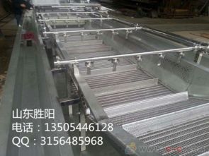 山東果蔬類氣泡清洗機(jī)生產(chǎn)廠家圖片與價(jià)格指南